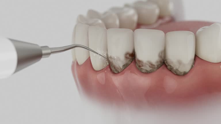 Reliable Dental contractor in Summerville, GA by Dentist Open Now
